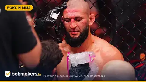 Бо Никал согласился на бой с Чимаевым — шанс поединка в UFC на Красной площади