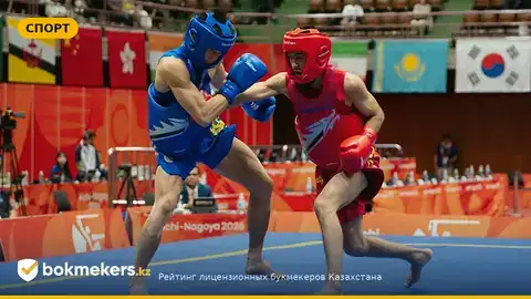Два казахстанца выбыли из борьбы в ушу-саньда на Азиатских играх в Японии