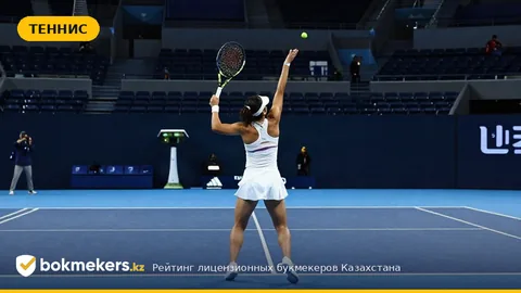 Елена Рыбакина и лидерство в чемпионской гонке WTA перед Нинбо и Токио: Обзор и Особенности