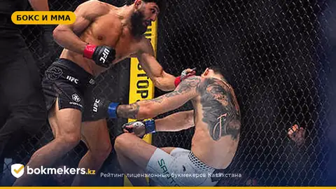 Гениальная ловушка Царукяна: попытки тейкдауна привели к нокауту на UFC 331