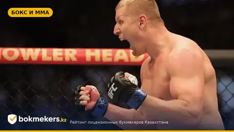 Сергей Павлович — Алекс Перейра: прогноз и шансы досрочного финиша на UFC 335