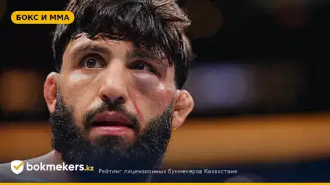 UFC опубликовал кадры после нокаута Царукяна: «Только бизнес», требование боя за пояс