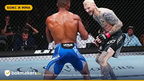 Нокаут в мейн-ивенте UFC Fight Night 287 в Париже: Парнасс нокаутировал Хукера