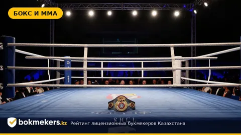 Жанибек Алимханулы против Якоба Банка 23 января 2027 года: бой за титул WBO официально объявлен: Обзор и Особенности